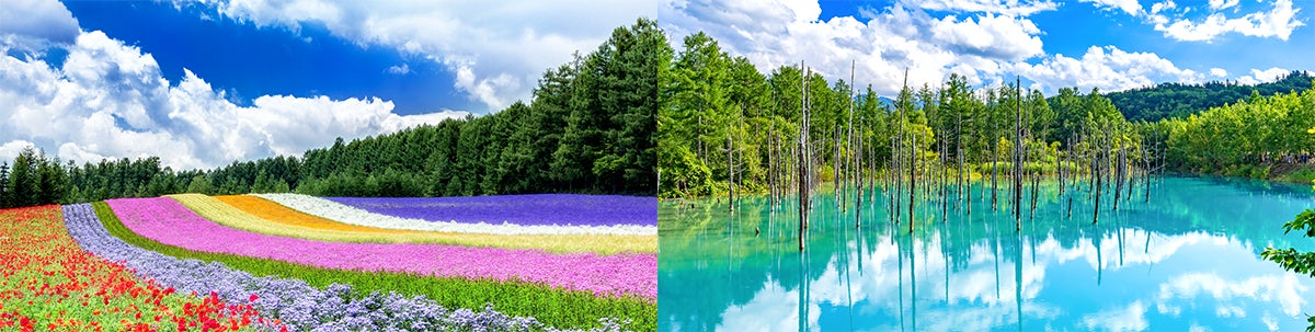 【楽天イーグルス】5/24（金）いぎなり東北産 来場決定！