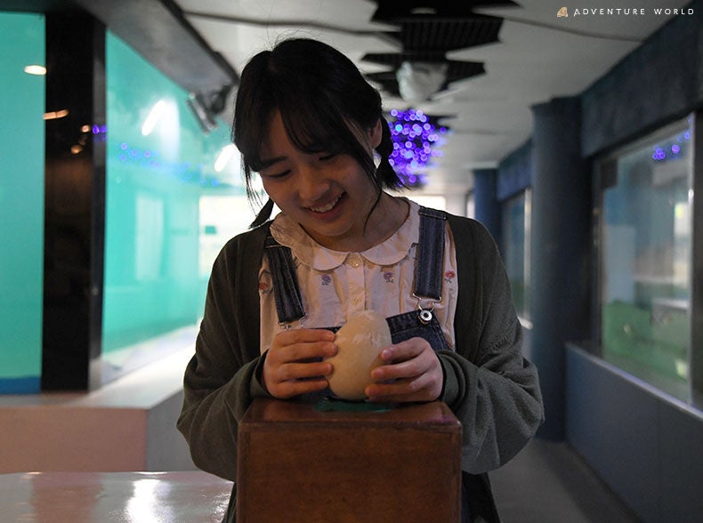 いよいよ春本番！「春らんまんフェスタ2024」開催中です（国営讃岐まんのう公園）