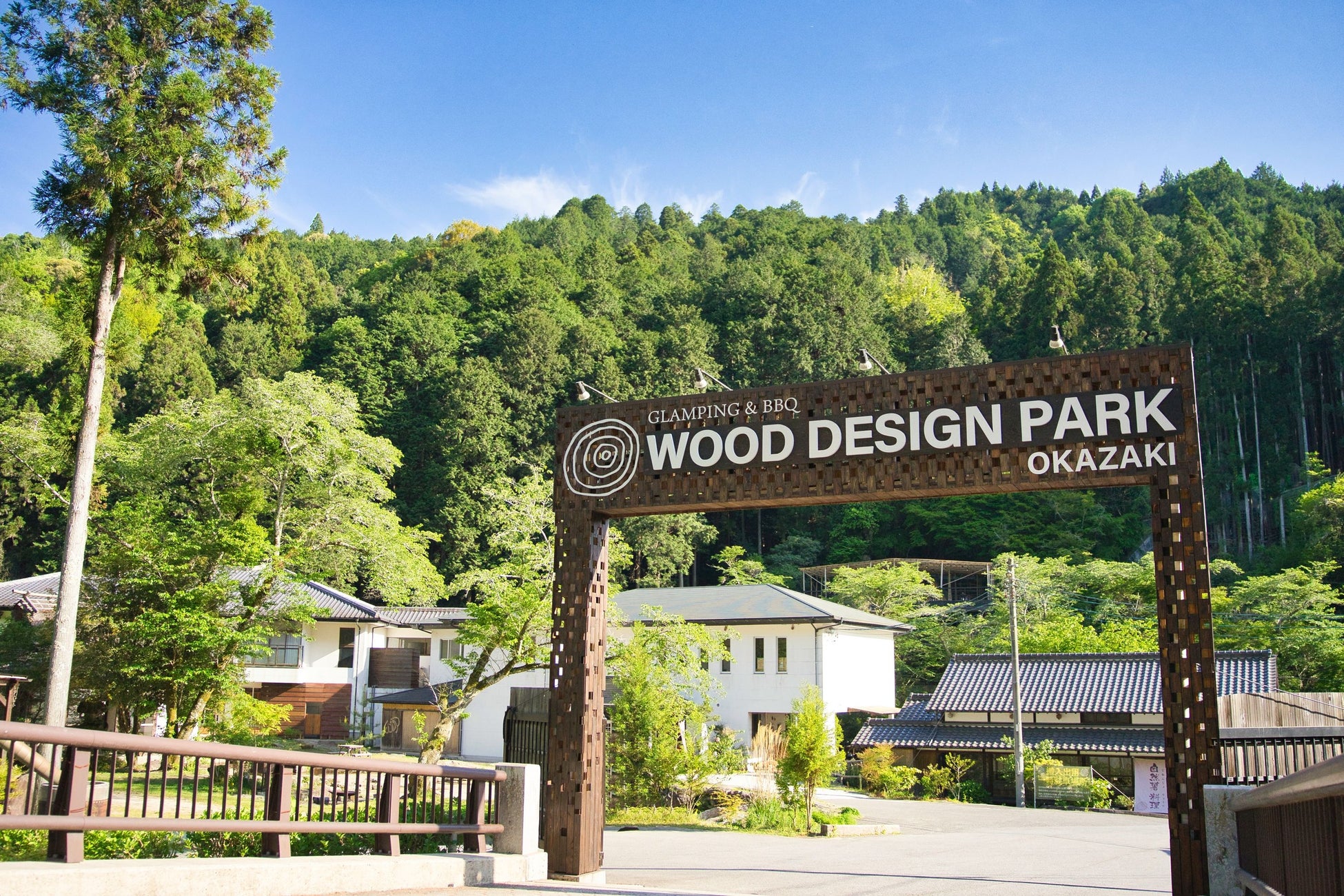 カラフルで美しいサボテンの花が見頃♪