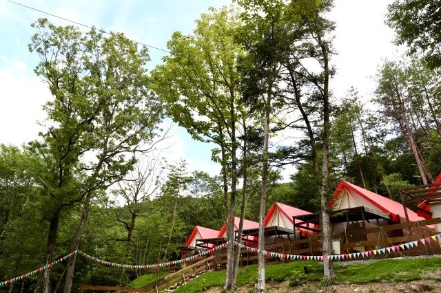 『森も心も豊かになる 木の温かみ、ありがたみ』兵庫県丹波市の廃校利活用施設「FOREST DOOR -旧神楽小学校-」グランドオープン1周年を記念した特別なキャンペーンを開催