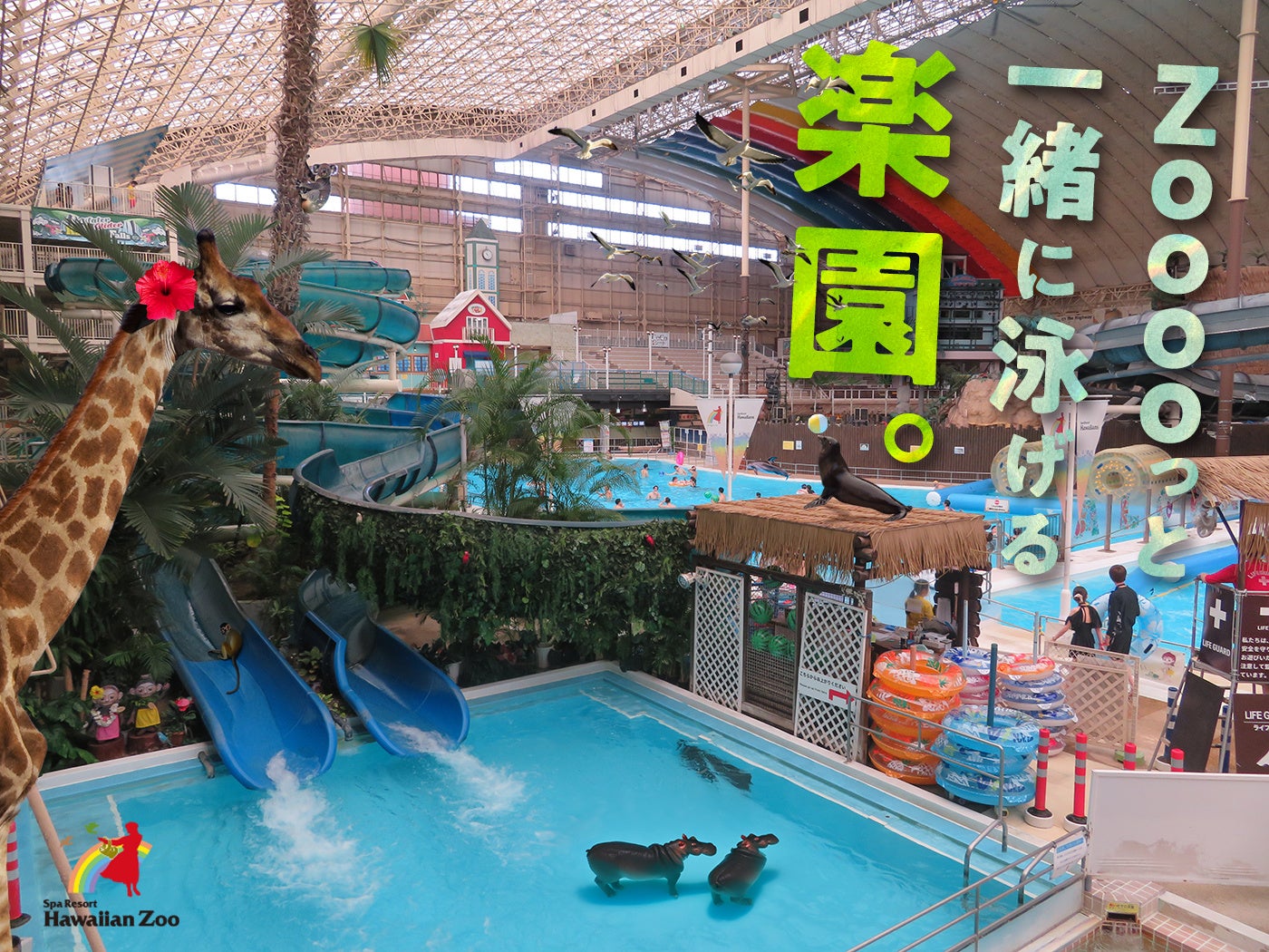 災害時に大切なペットの命を守る『普段から使えるペット防災グッズ』の企画開発