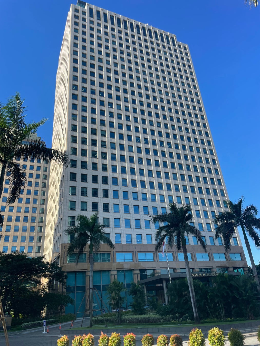 身近な公園に星空を創り出す「Star Park Festival」開催