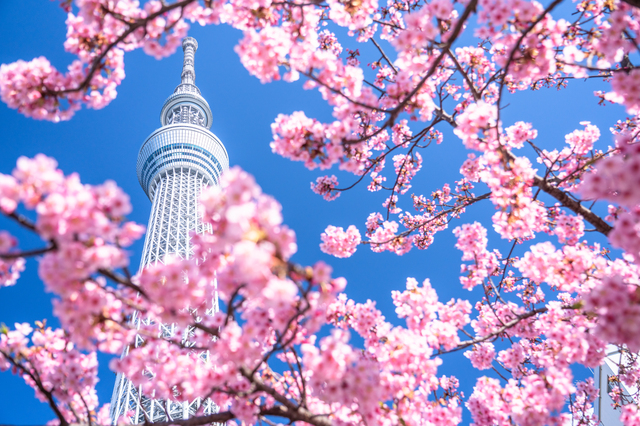 【宮崎マンゴーホテル】日本在住者向け・春の旅行応援キャンペーン！