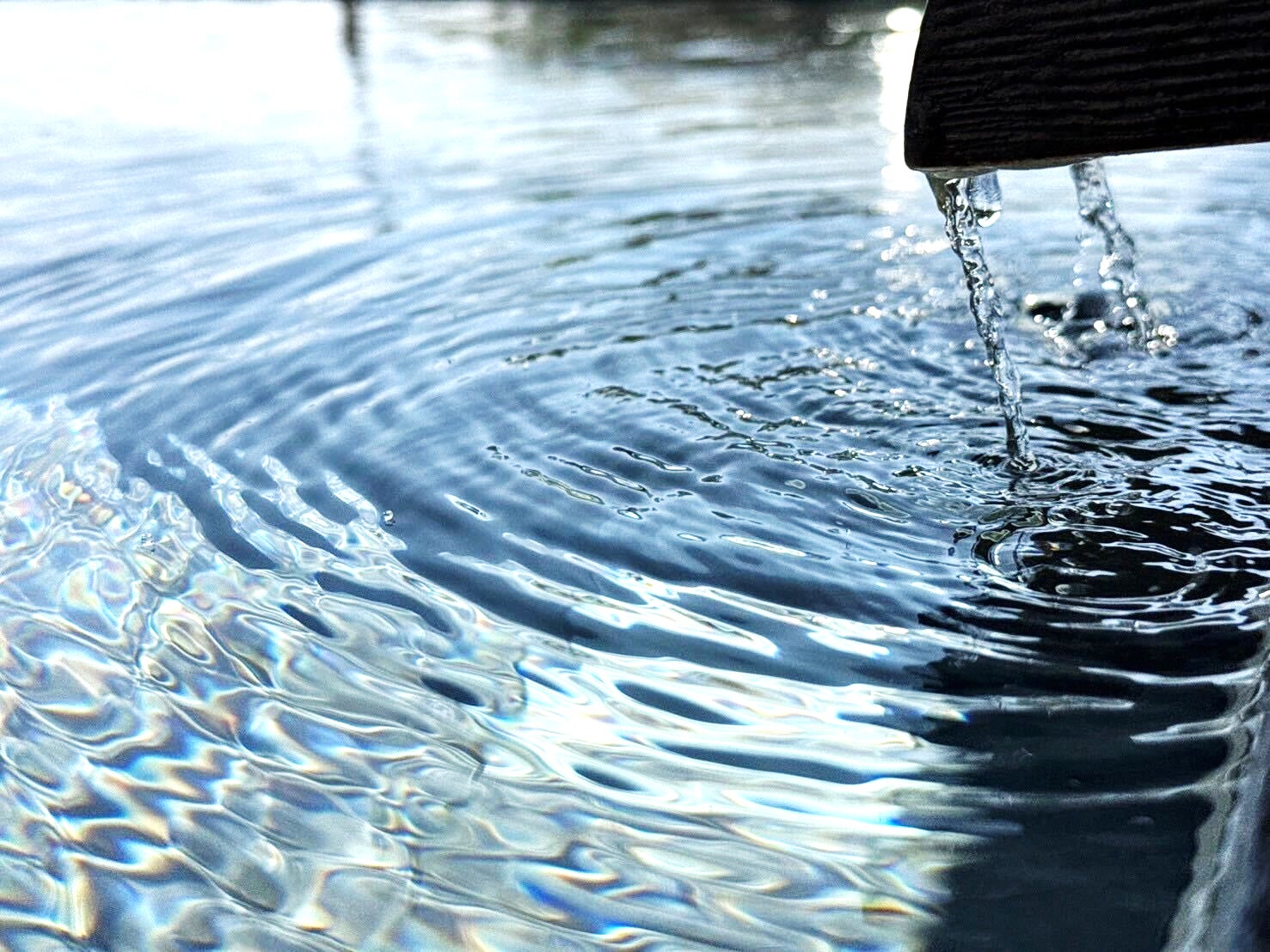 GWはプールサイドで優雅なひとときを。6日間だけの特別なアフタヌーンティーセットが登場!