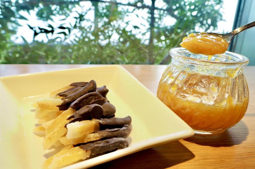 茶摘み体験&新茶を味わう【新緑園×有機米・宮本】みやざき新茶摘み体験