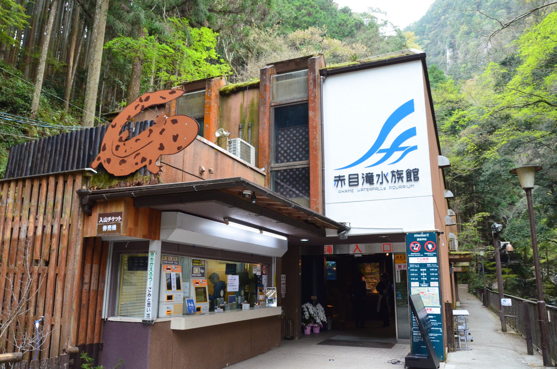 三重県名張市に「赤目滝水族館」がオープン！渓谷に繋がる水族館には、22歳の館長をはじめスタッフが採取した生物も展示
