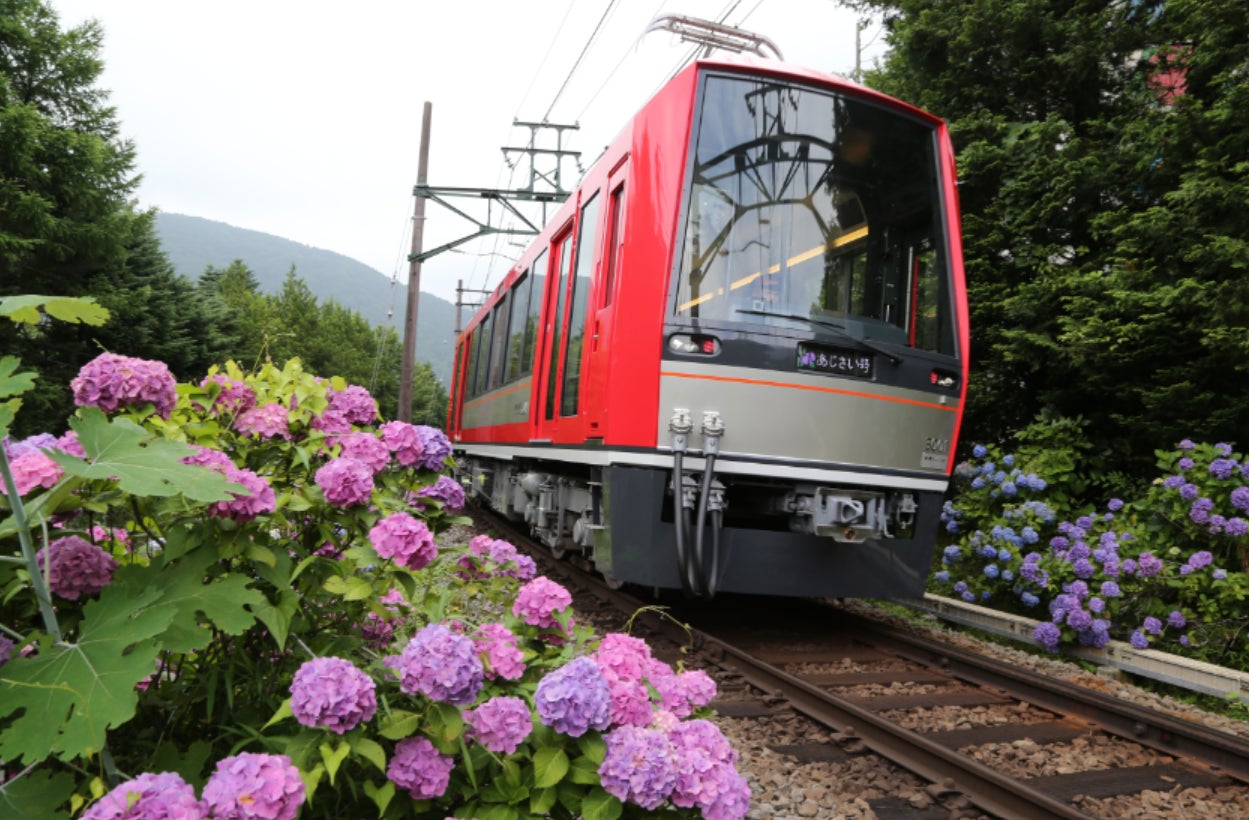 箱根の風物詩　初夏の観光列車が今年も運行決定！座席指定列車「夜のあじさい号」を６月１５日(土)より運行します！