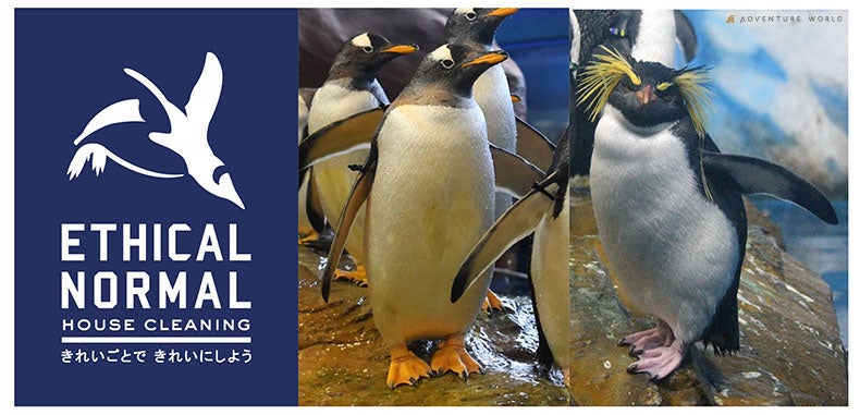 【JWマリオット・ホテル奈良】ポルシェの次世代型EV車「タイカン」の試乗と宿泊がセットになったサステナブルな宿泊プランの販売を開始