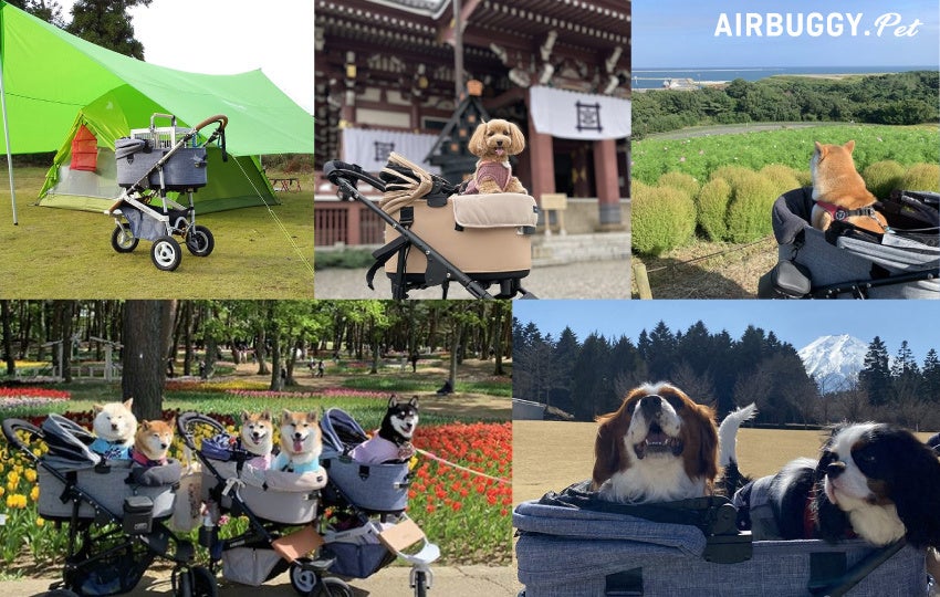 【都ホテル 岐阜長良川】最上階のアウトドア風ビアガーデンで乾杯!ルーフトップフィールド SOT△DE(ソトデ)2024年5月7日(火)から前売りチケットの販売を開始