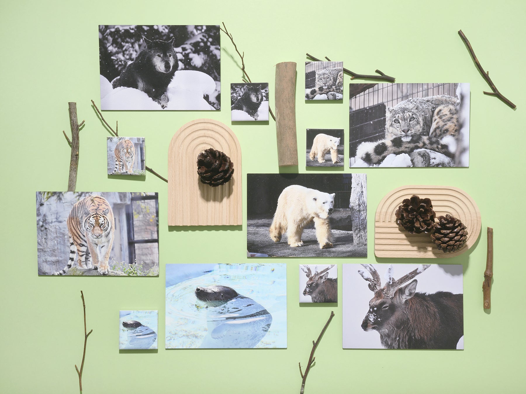 旭山動物園の人気動物たちを立体化！PENONオリジナルアートグッズを旭山動物園内Museum Shop ASAHIYAMAにて限定発売