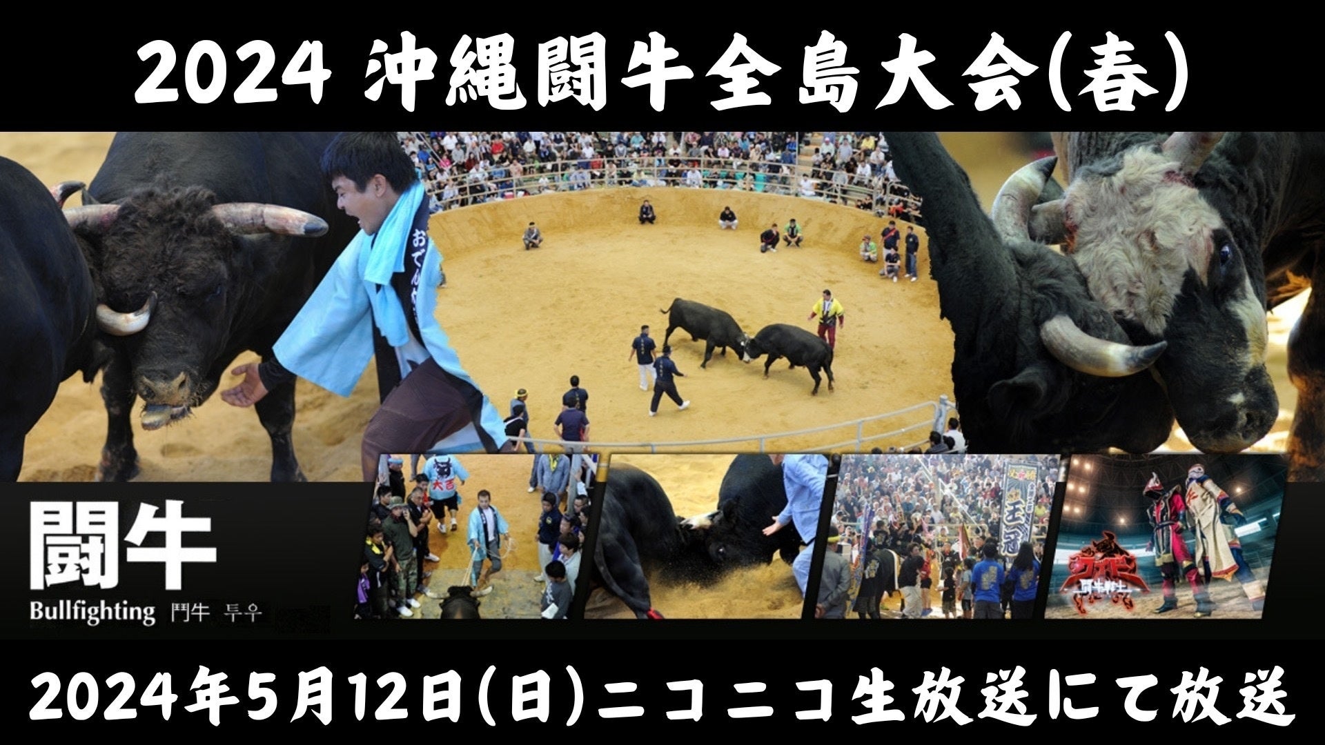 愛知県岡崎市の里山で幻想的なホタルの舞を楽しむ【HOTARU NIGHT 2024】6月15日（土）開催