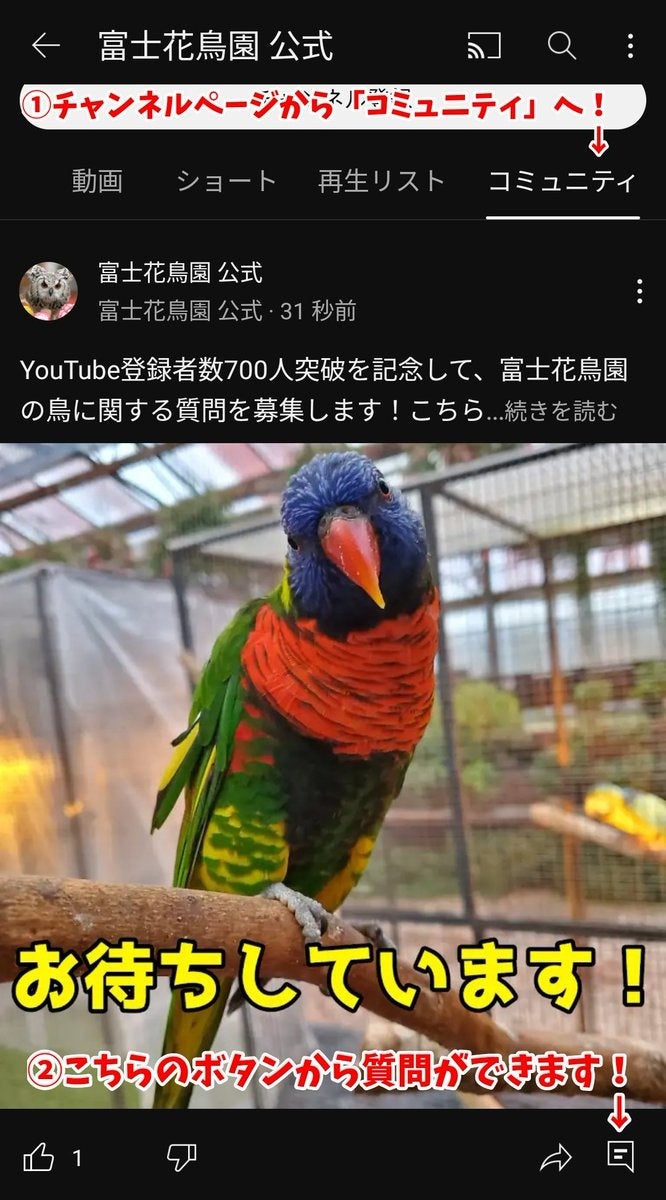 YouTube登録者数700人突破を記念して、富士花鳥園の鳥に関する質問を募集中。5月19日が最終日です！