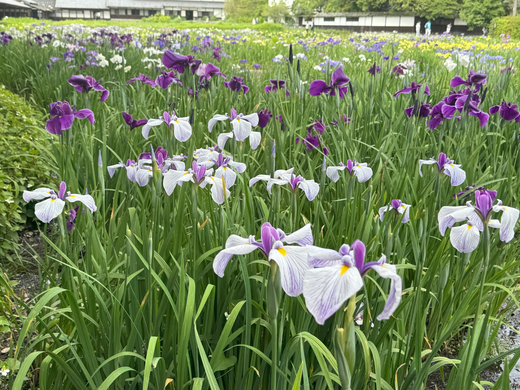 【新商品】自転車パーツブランド「GORIX」から、 フレームバッグ(G.TRI BAG)が新発売!!