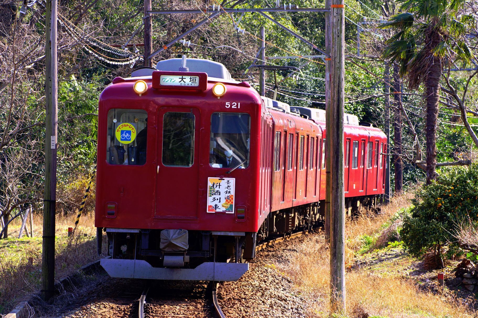 ～ 京阪沿線 初夏の花キャンペーン ～  淀屋橋から宇治への臨時列車「あじさい号」を運転します