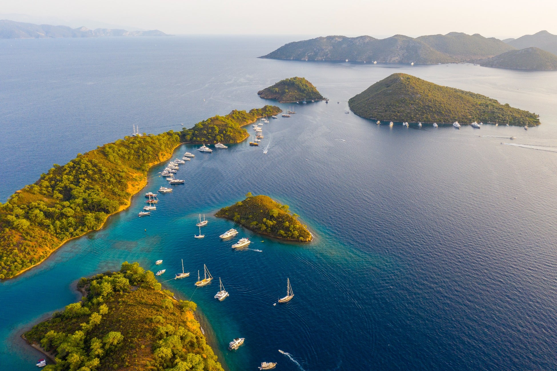 ハイアット リージェンシー 箱根 リゾート&スパ まるでカラーパレット!あじさいが花開き緑深まる色彩豊かな箱根の初夏に『アフタヌーンティー“パレット”』登場