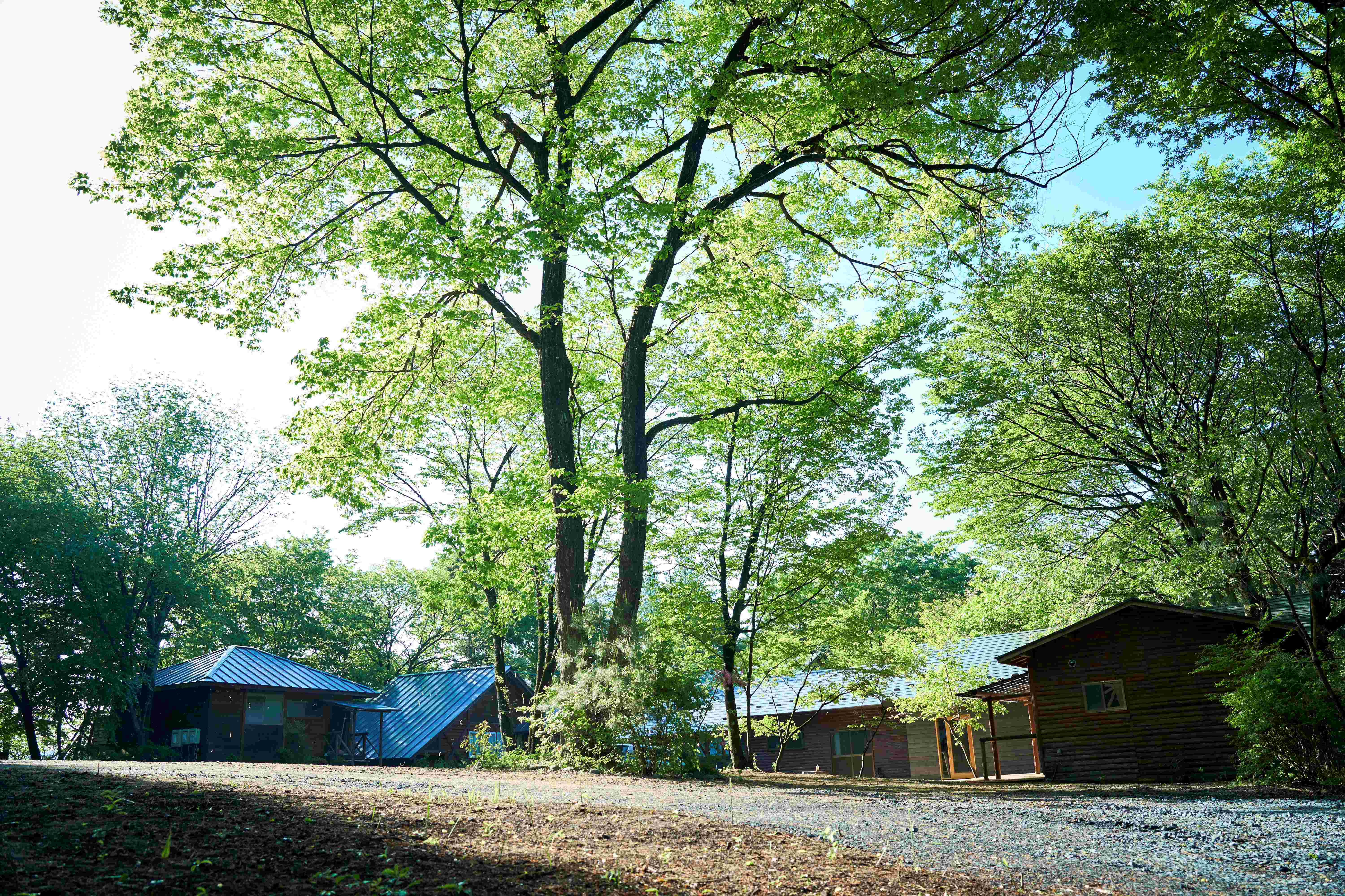 栃木県大田原市湯津上　
自然豊かなカフェ・宿泊施設・キャンプ場の複合施設オープン
「NASU SATOYAMA FIELD」