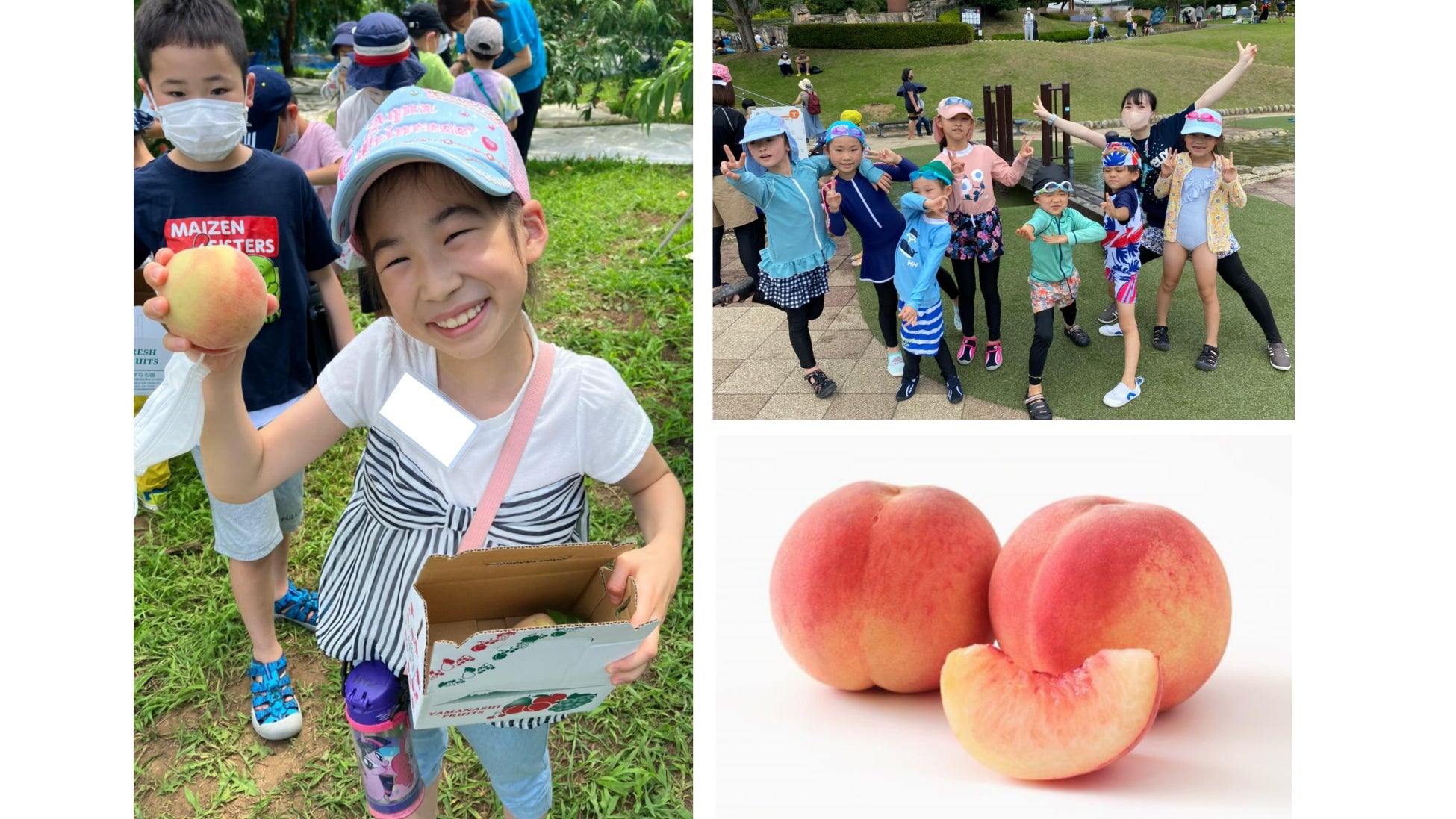 福岡市動物園のかわいい動物たちがホテルスイーツに！「サマーフルーツデザートビュッフェ ～Sweezoo2024～」開催