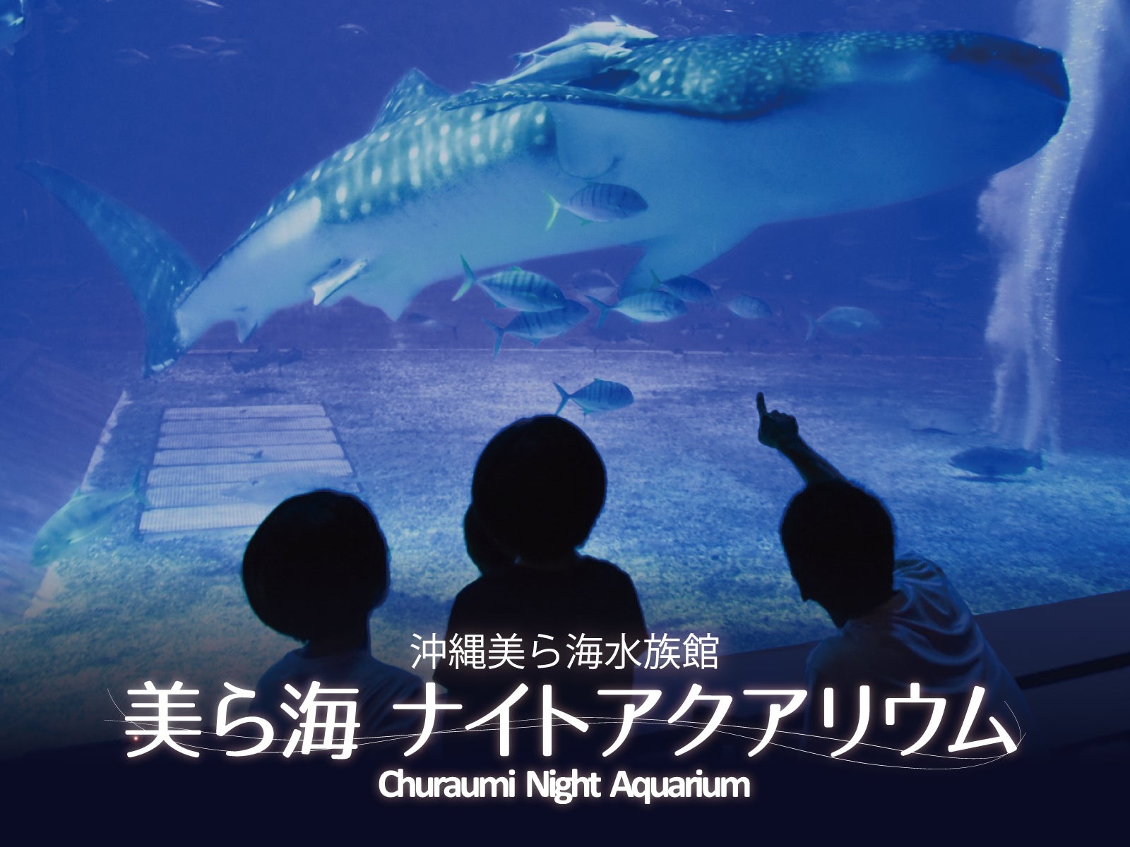 煌びやかな景色が広がる、夜風が心地よいテラスで“自分へのご褒美”を満喫「～Reward myself 2024～ ご褒美 Night Terrace by NEW YORK LOUNGE」夏季限定開催