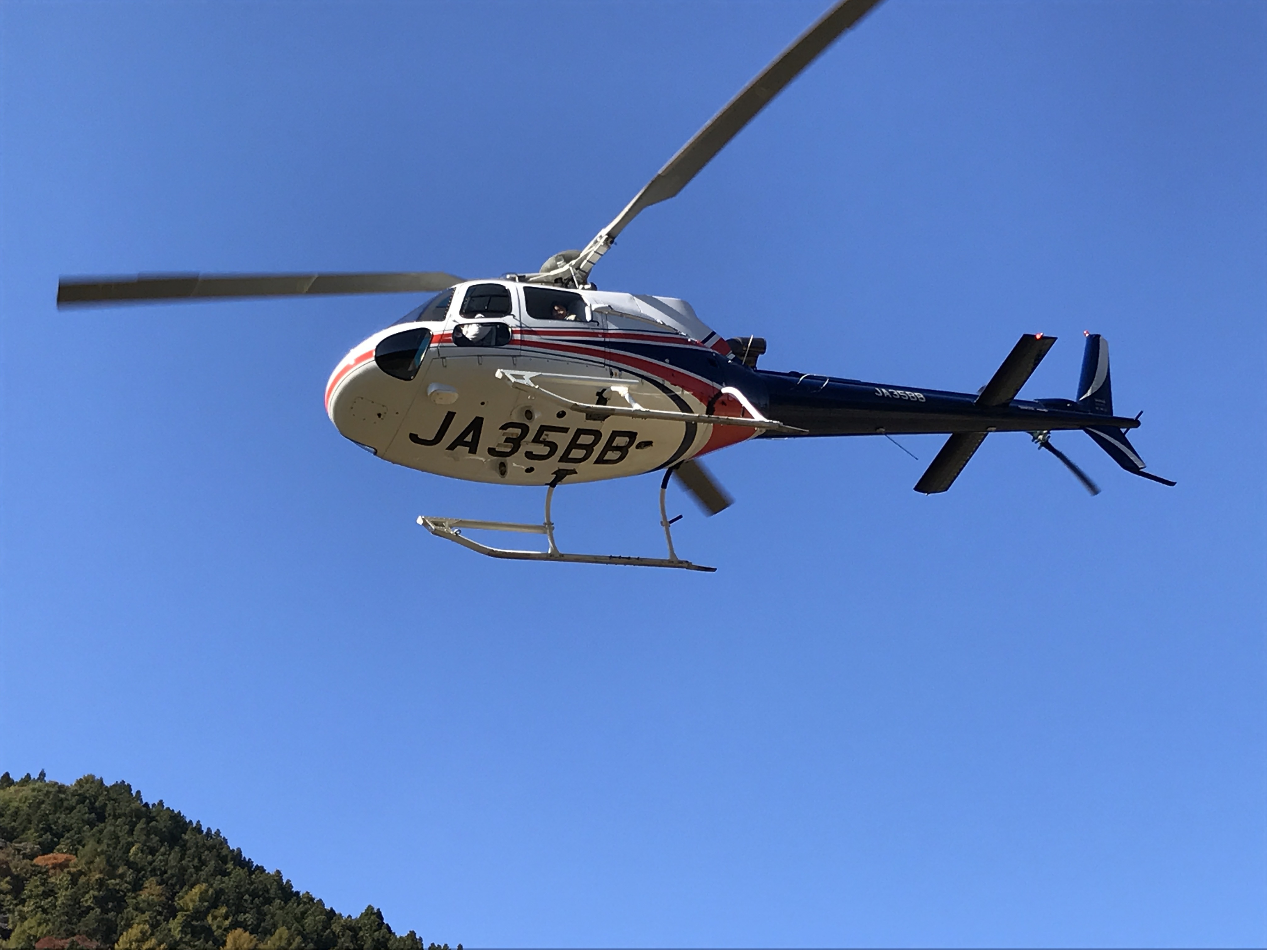 「すみっコぐらし」の世界観を満喫できるスイーツビュッフェ、いよいよご予約受付開始!