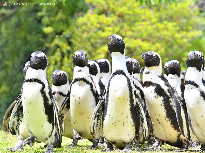 自転車パーツブランド「GORIX」の楽天市場店が、「最大77%OFF」の楽天スーパーSALEを開催!!【6/4(火)20:00~6/11(火)01:59まで】