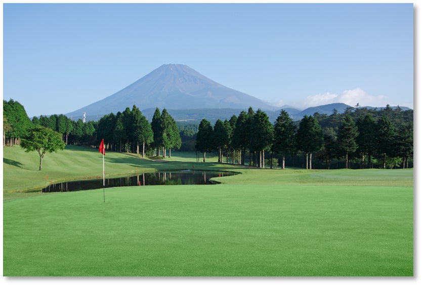 六甲高山植物園 明るい夏色の花！ 約1,000株の「ニッコウキスゲ」が見頃です