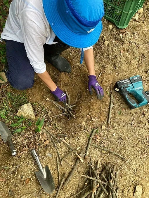 おでかけで地域を応援！観光型ふるさと納税寄付システム「ふるさとGO」を静岡県三島市が導入