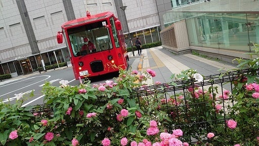 『たま駅長に会いに！』 のんびり夏景色『和歌山』 鉄道×舟の絶景と美味いもん　『おとな旅あるき旅』６月２２日（土）放送！