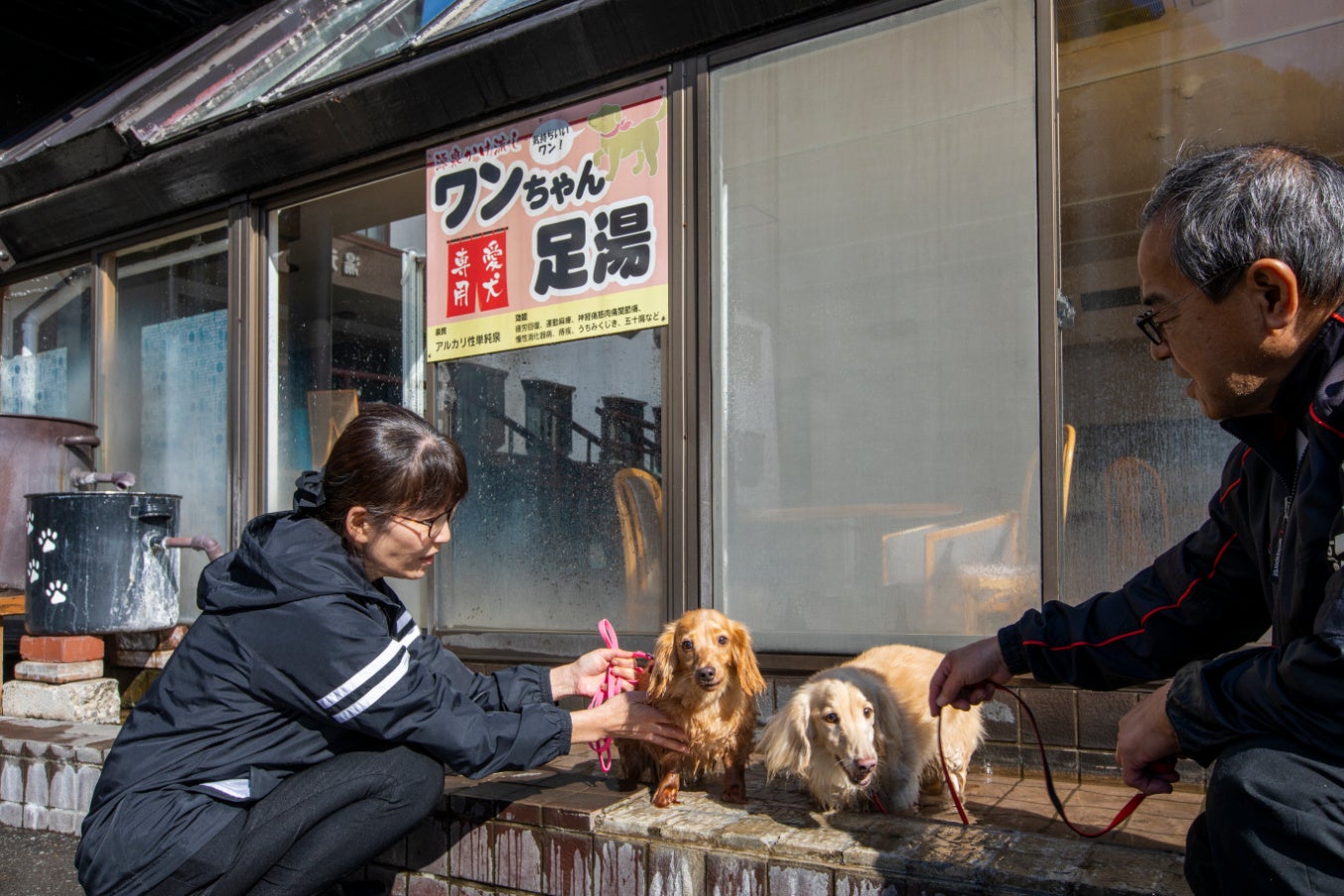 東京九州フェリー　３周年記念レストランメニュー”葉山牛炙り重と旬菜御膳”