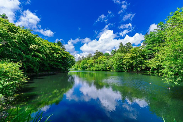 春秋座とその周辺を誰もが自由に遊べる公園に見立てた2日間限定の「瓜生山サマーパーク」をひらきます！