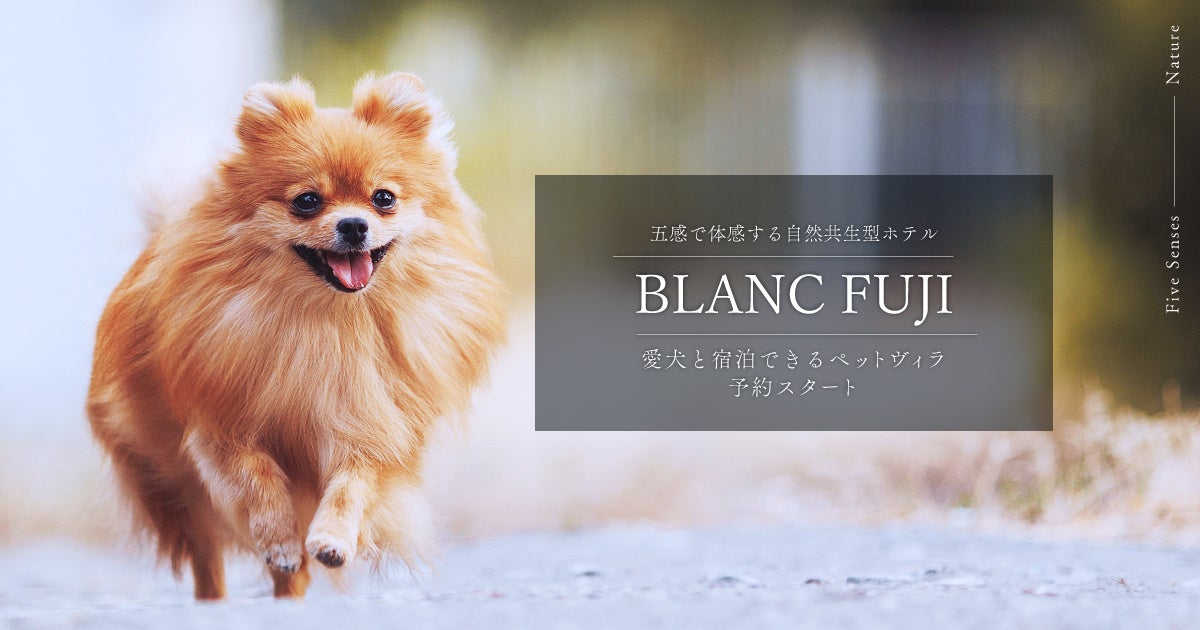 自然共生型ホテル「BLANC FUJI」でサウナ付きペットヴィラの予約受付開始 愛犬と宿泊可能に