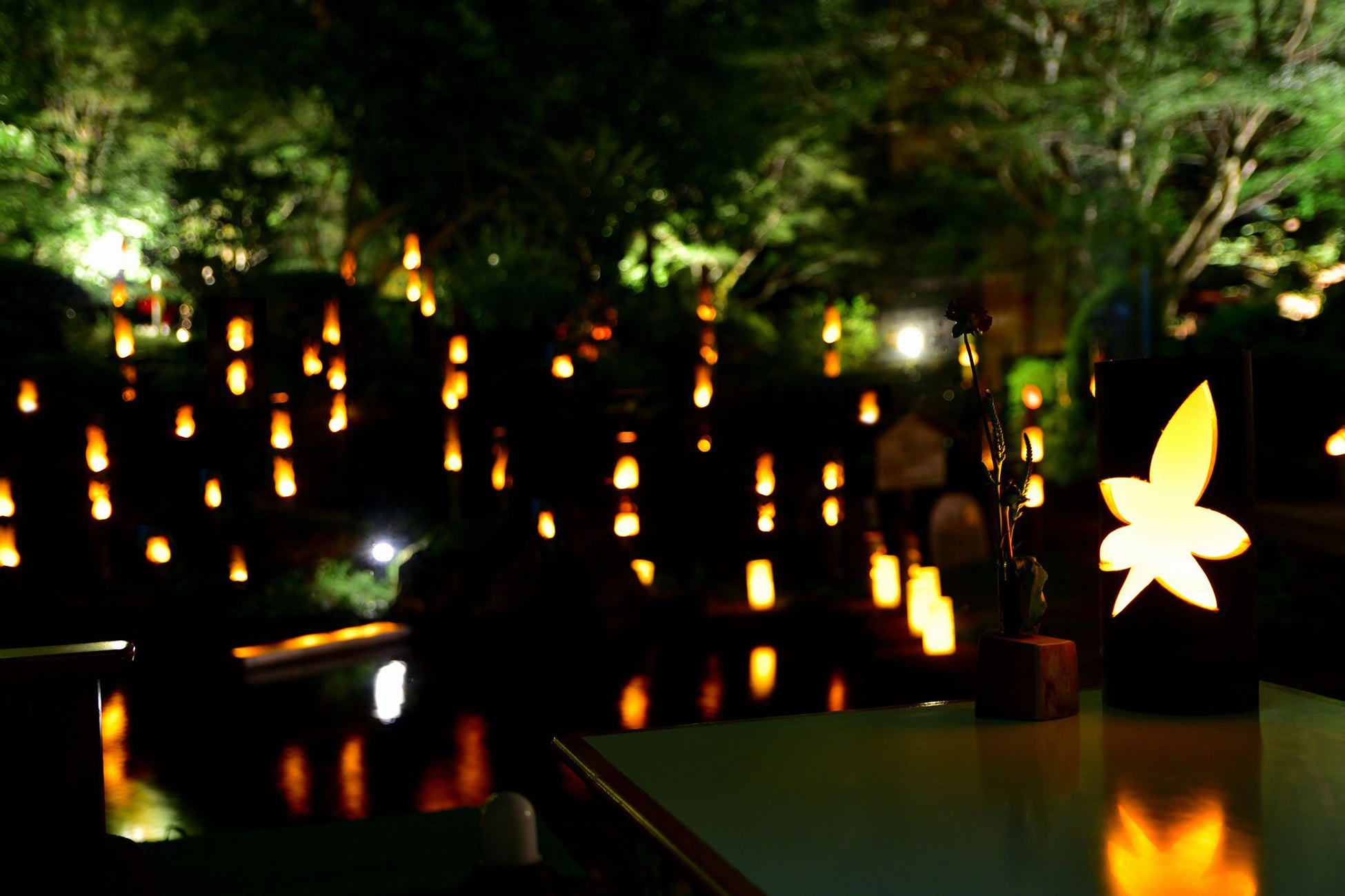 幻想的な光が魅力の「庭園竹灯り」を7月1日より実施。28日には記念コンサートも開催 – 新潟県阿賀野市