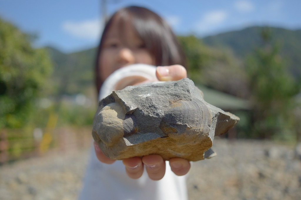 夏休みは1億年前の化石採集を！100％見つかる化石採集体験が
開始3ヶ月で来場者数3,000名を達成！
熊本・天草の離島“恐竜の島”御所浦にて