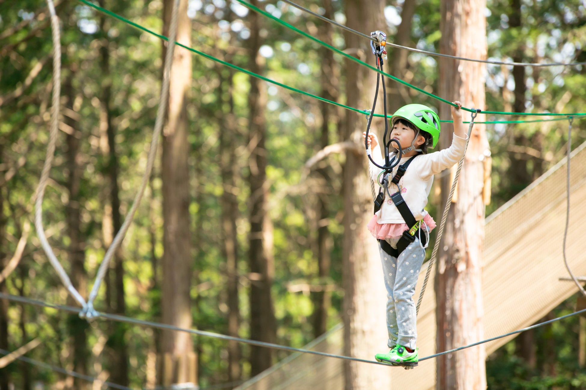 2024夏 丹波篠山の涼しい森で冒険を　未就学児から楽しめる「新コース」をリニューアルオープン！