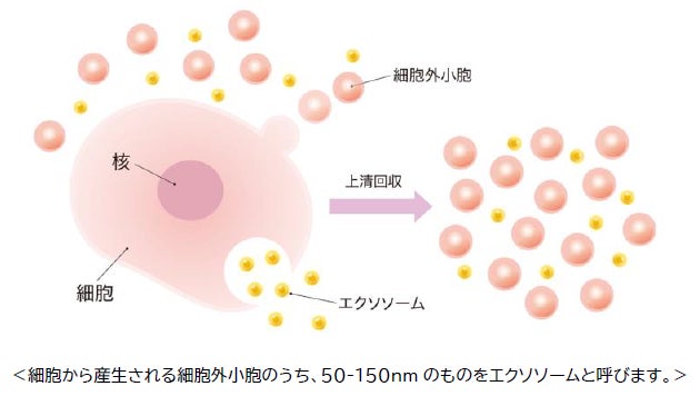 【リーガロイヤルホテル小倉】九州の特色ある夏食材を使用したフランス料理・グルメイベント「カミフクサナオ」