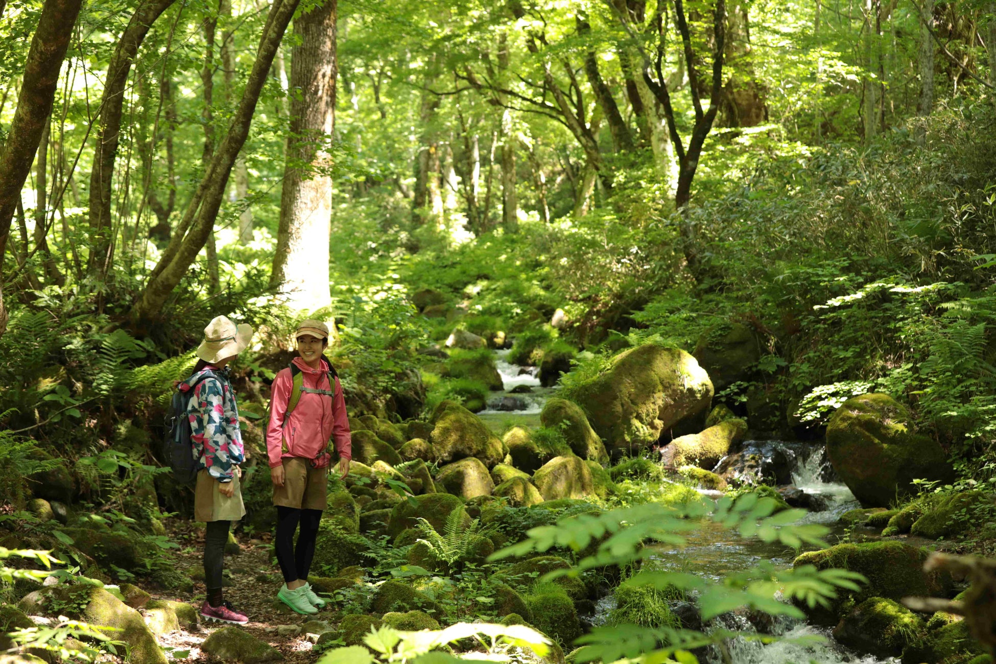 絶景ドライブ旅【白山白川郷ホワイトロード】片道無料＆ガソリン券付き宿泊プラン☆ユネスコ世界ジオパーク、世界遺産、大自然と天然温泉を満喫♪