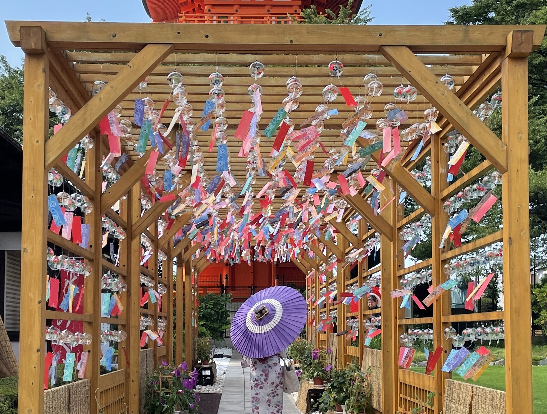 六甲高山植物園 × 伊丹市昆虫館 夏イベント 「しょくぶつ と むし」 開催！
