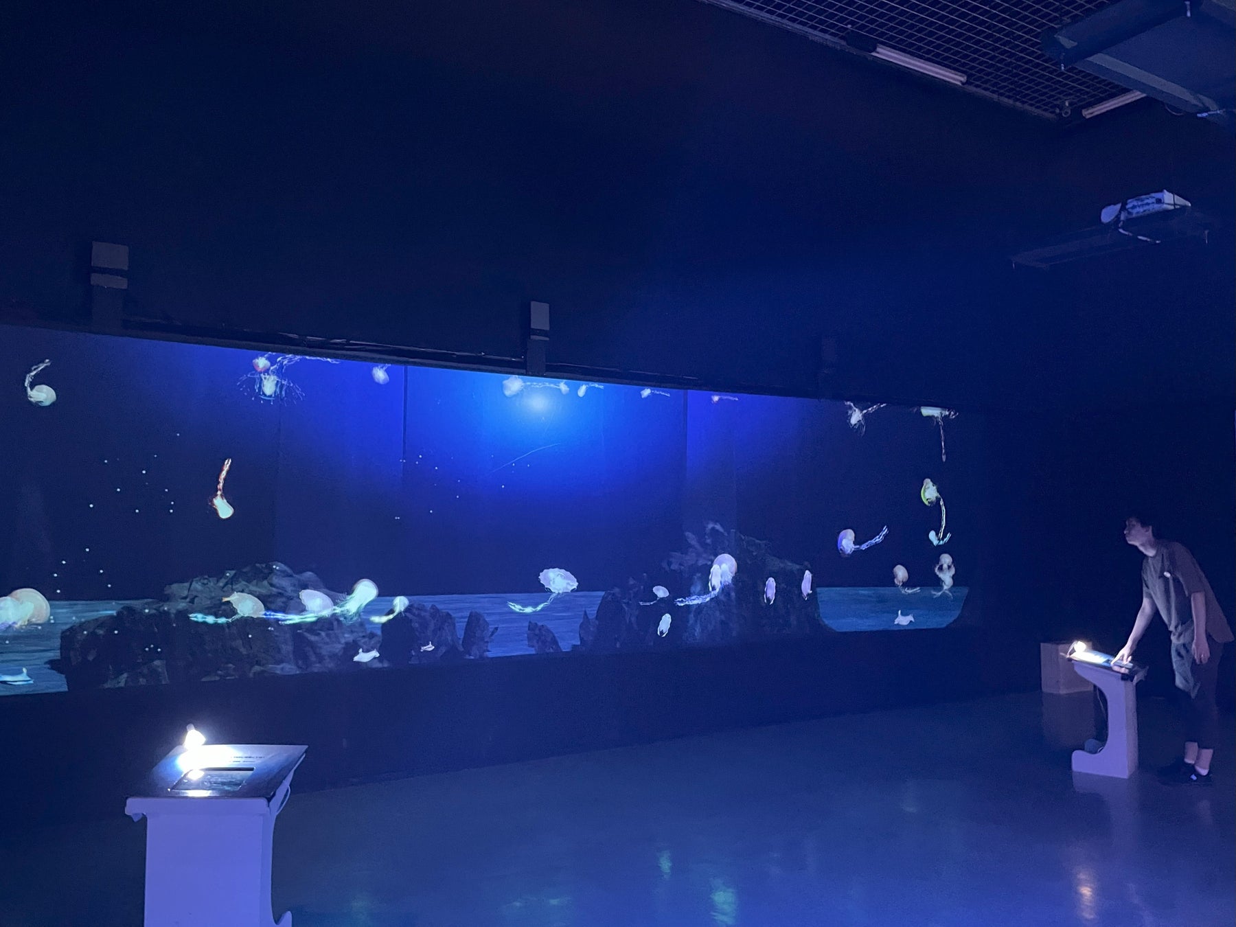 ハニカムラボ、宮崎県総合博物館にて「毒モンスター水族館 ～海のキケンな生きものたち～」にインタラクティブプロジェクションコンテンツを展示中