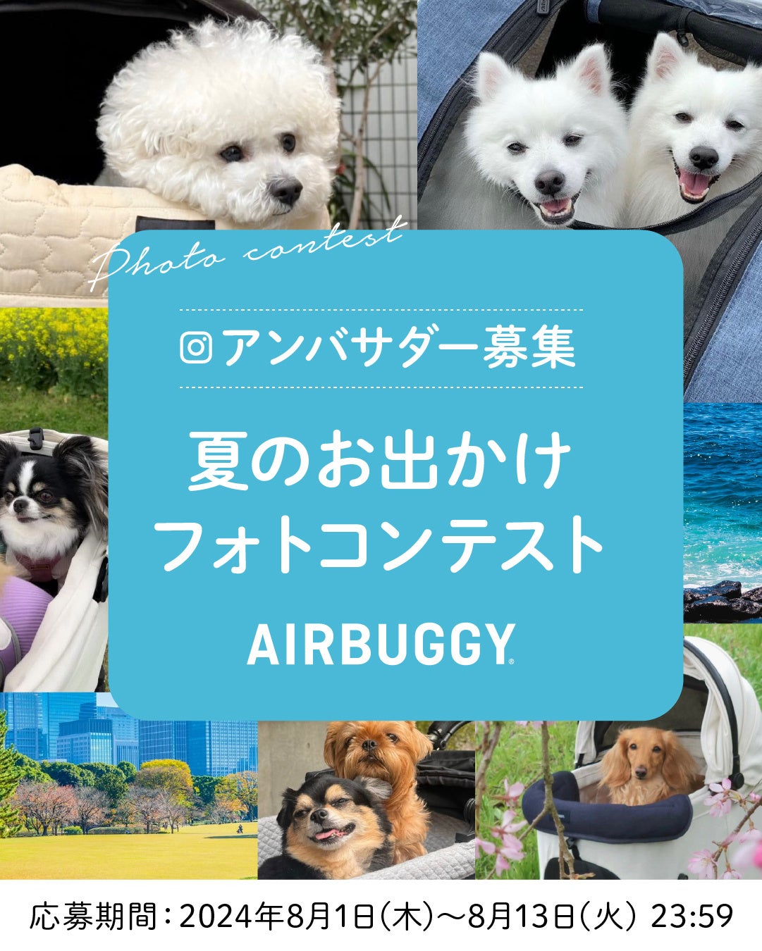 「エアバギーと行こう！夏休みにペットとクールに楽しむ特別な体験」　AIRBUGGY PET公式インスタグラムで夏のお出かけフォトコンテスト開催《2024/8/1(木)~13(火)》