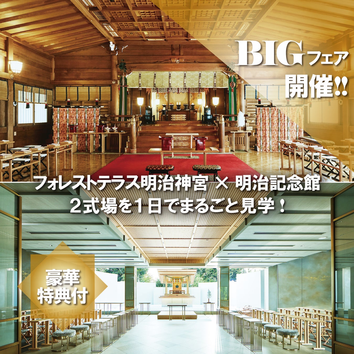 長野・軽井沢に森の安らぎを感じる会員制貸別荘がグランドオープン – ホテルレジデンス“YAMATO STAY”