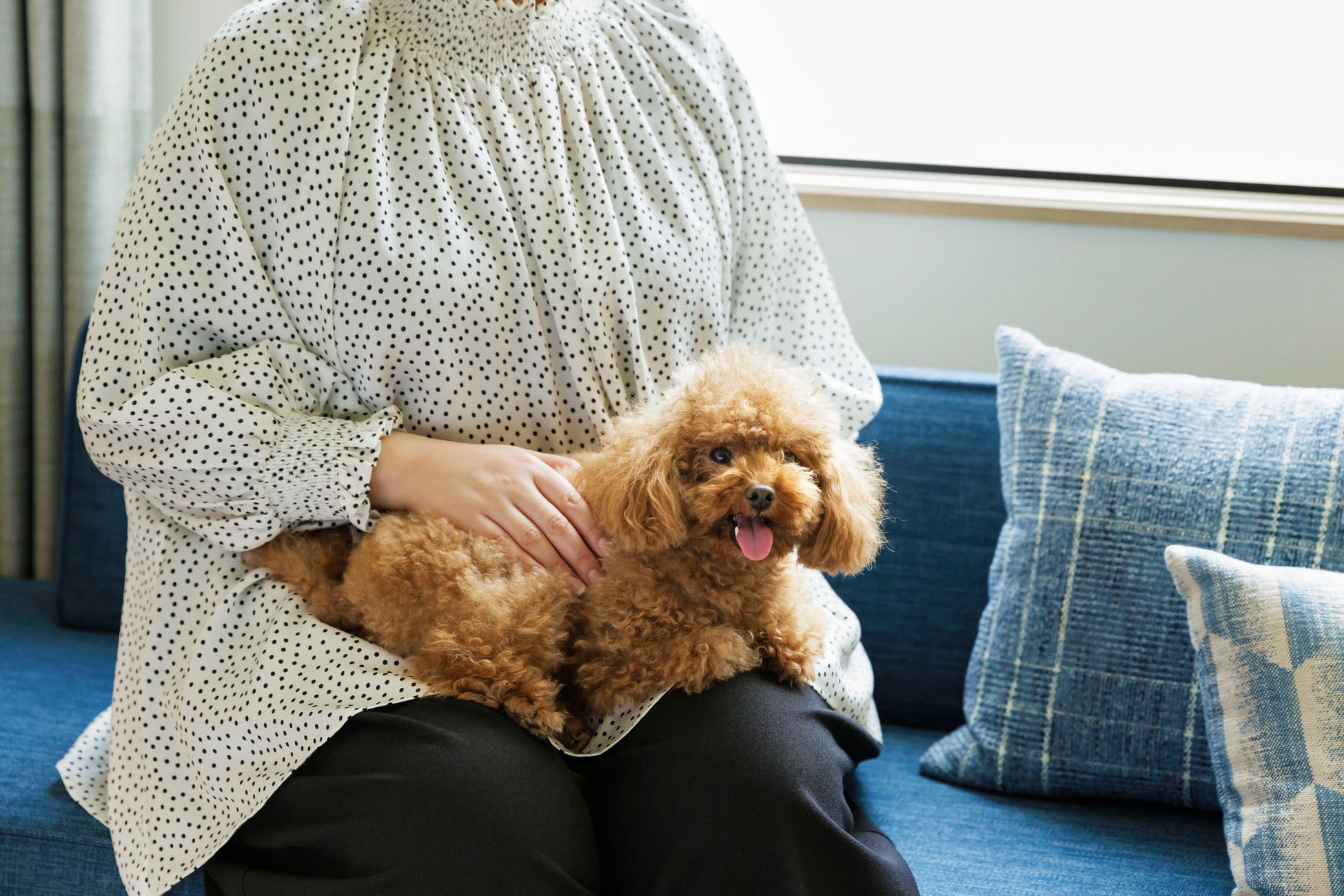 【フェアフィールド・バイ・マリオット 道の駅 プロジェクト】愛⽝と⼀緒に宿泊できる「Dog Friendly Room」の販売を開始！