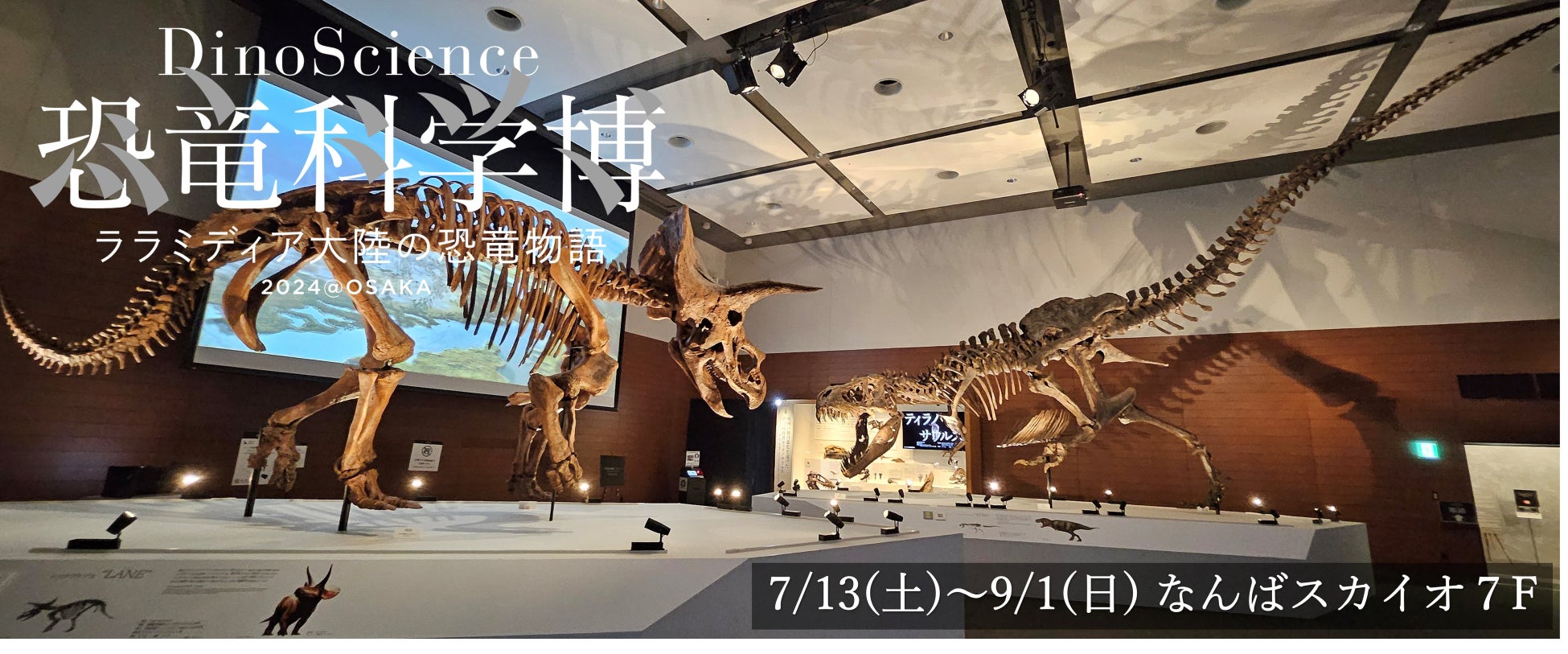 いよいよ8/25(日)まで！【安満遺跡公園】『ぽよじゃぶウォーターパーク2024』大人気のスライダーが４つになって滑り放題！