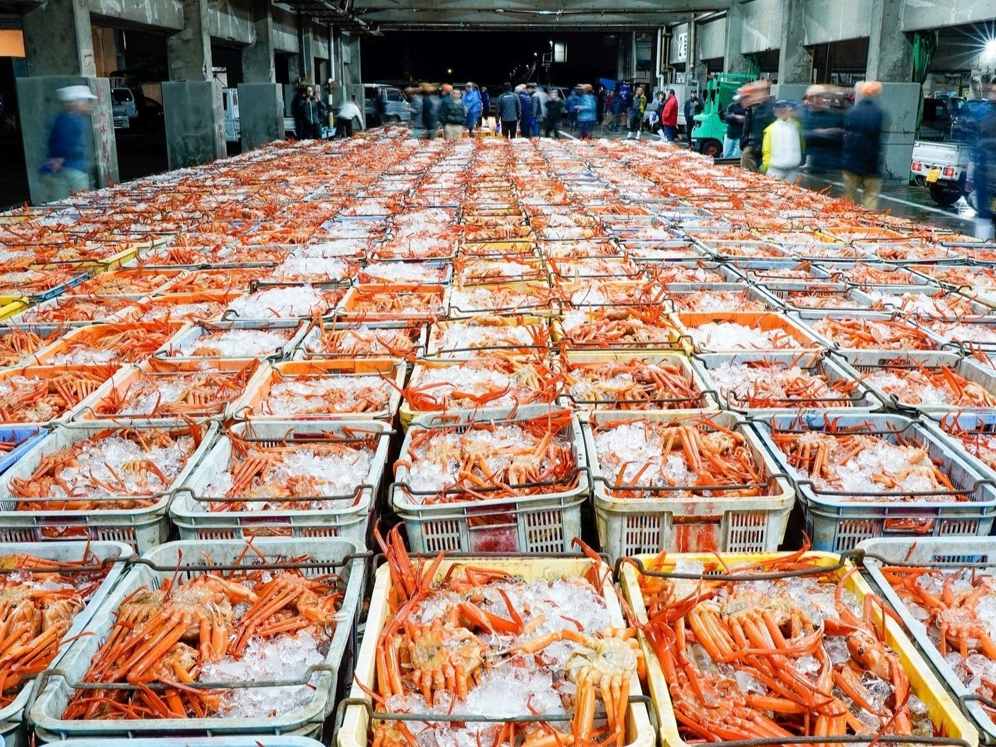 関西で唯一の水揚げ！香住漁港でブランド蟹「香住蟹」いよいよ9月1日漁解禁！松葉蟹より、ひと足先に楽しめる秋の味覚♪休暇村竹野海岸、お１人様につき蟹を２杯使った「香住蟹フルコース」を９月７日より提供