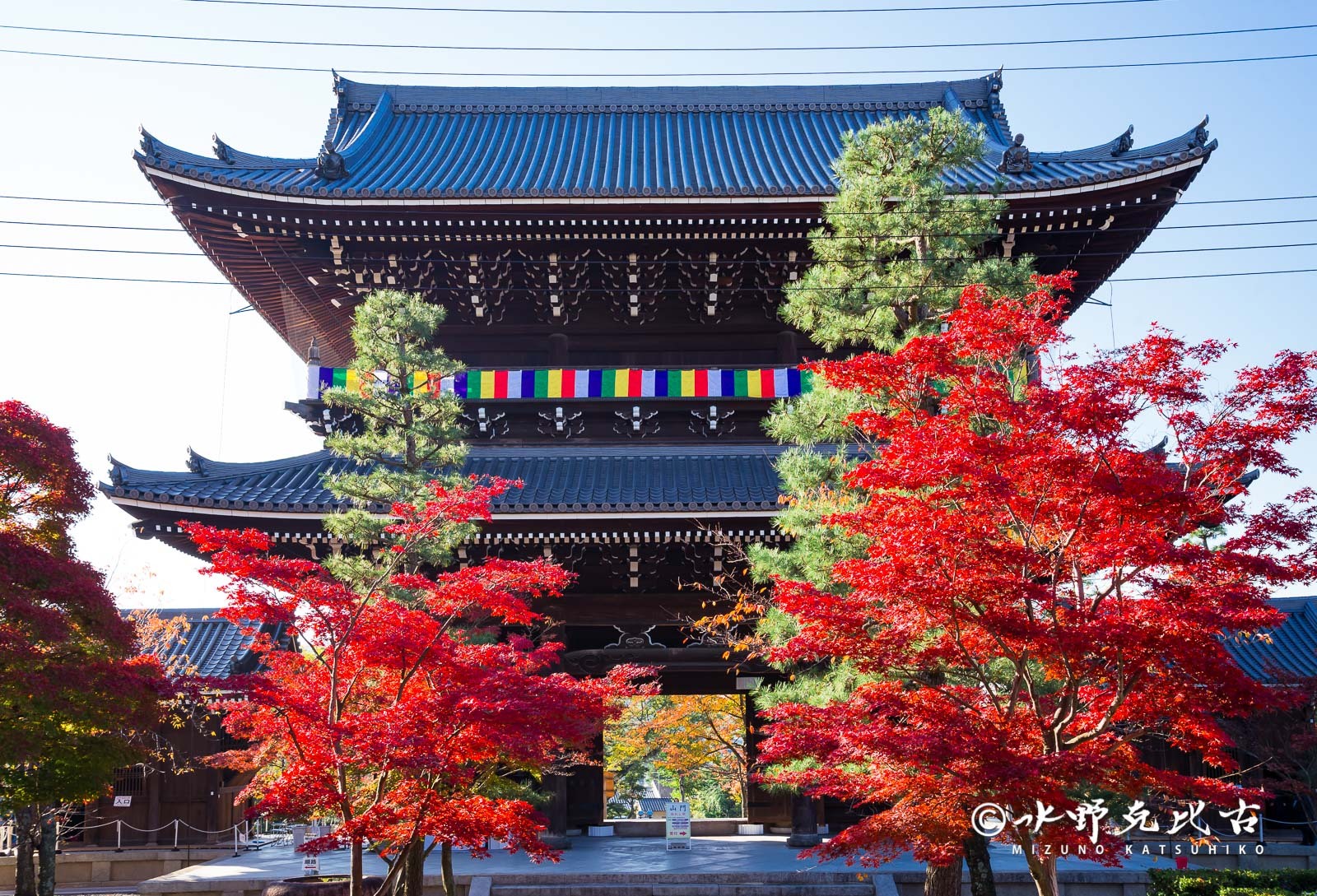 通常非公開の京都『くろ谷 金戒光明寺』　
秋の特別拝観を日中拝観・夜間拝観共に
11月15日(金)～12月8日(日)開催