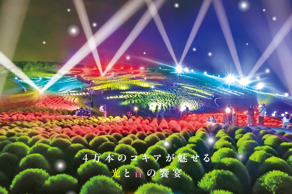 “あなたの魔法史をぬりかえよう”１０周年の『ウィザーディング・ワールド・オブ・ハリー・ポッター™』は秋も超興奮!!『デス・イーター™ ～ホグズミードの危機™～』