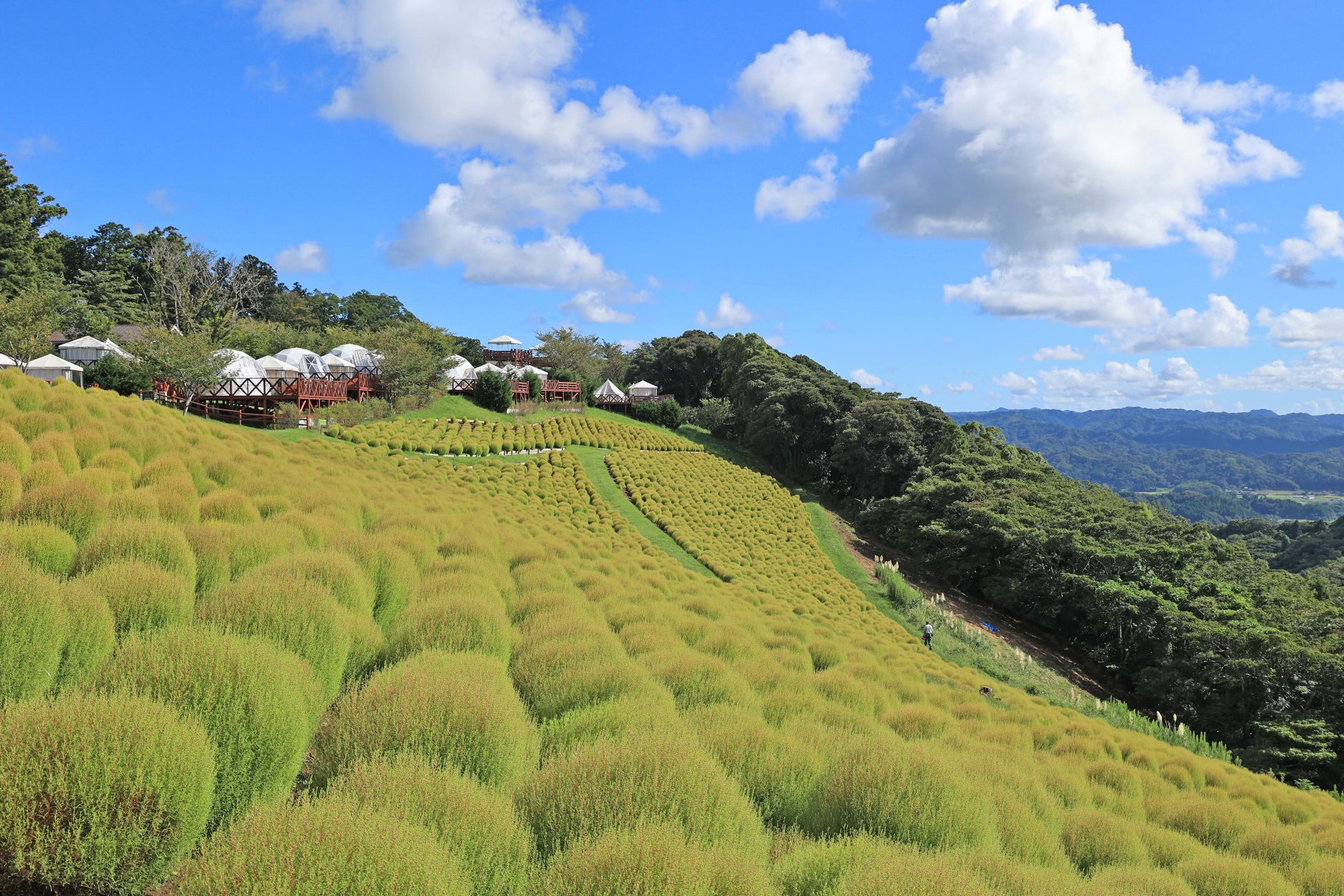 【THEフィッシング】繊細なアタリを見極めろ！和歌山加太のカワハギ釣り／9月14日(土)放送