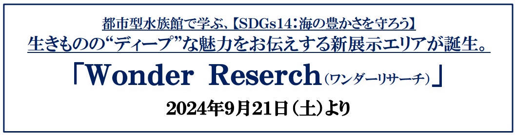 【修善寺虹の郷】伊豆最大級の体感型イルミネーション「虹の郷サンクスイルミ2024 ～虹の咲く庭～」10月18日(金)から開催