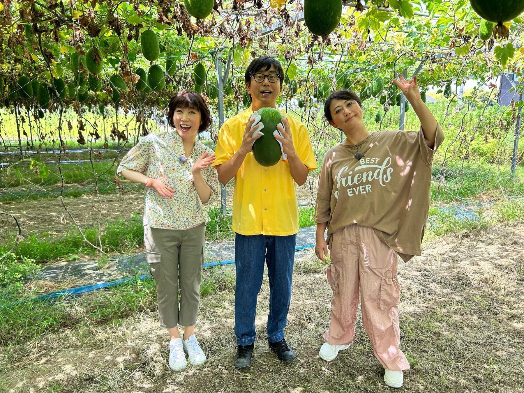 喫茶来 TOKOROZAWA TEA FES×JAPAN TEA EXPOによるチケットプレゼントキャンペーン開催！一杯のお茶が、新しい出会いをつくる。〜お茶巡りで繋がるキャンペーン～