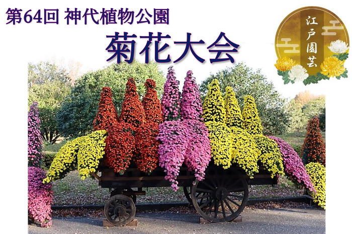 約400本のイロハモミジで紅く染まる大名庭園で 「深山紅葉を楽しむ」開催（11/16～12/8）