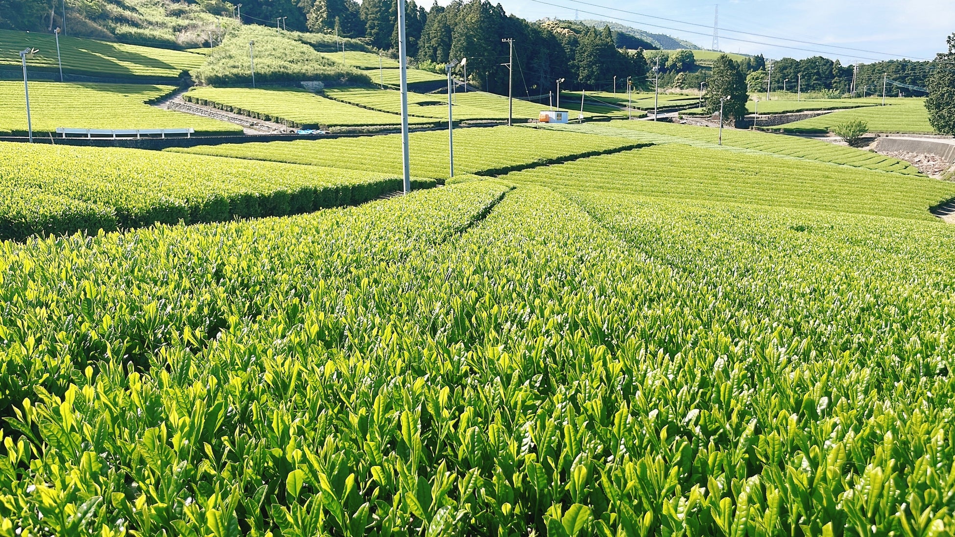 消滅可能性自治体「東かがわ市」をアートの力でも盛り上げる！「東かがわ市88アートプロジェクト」を10月1日から開始