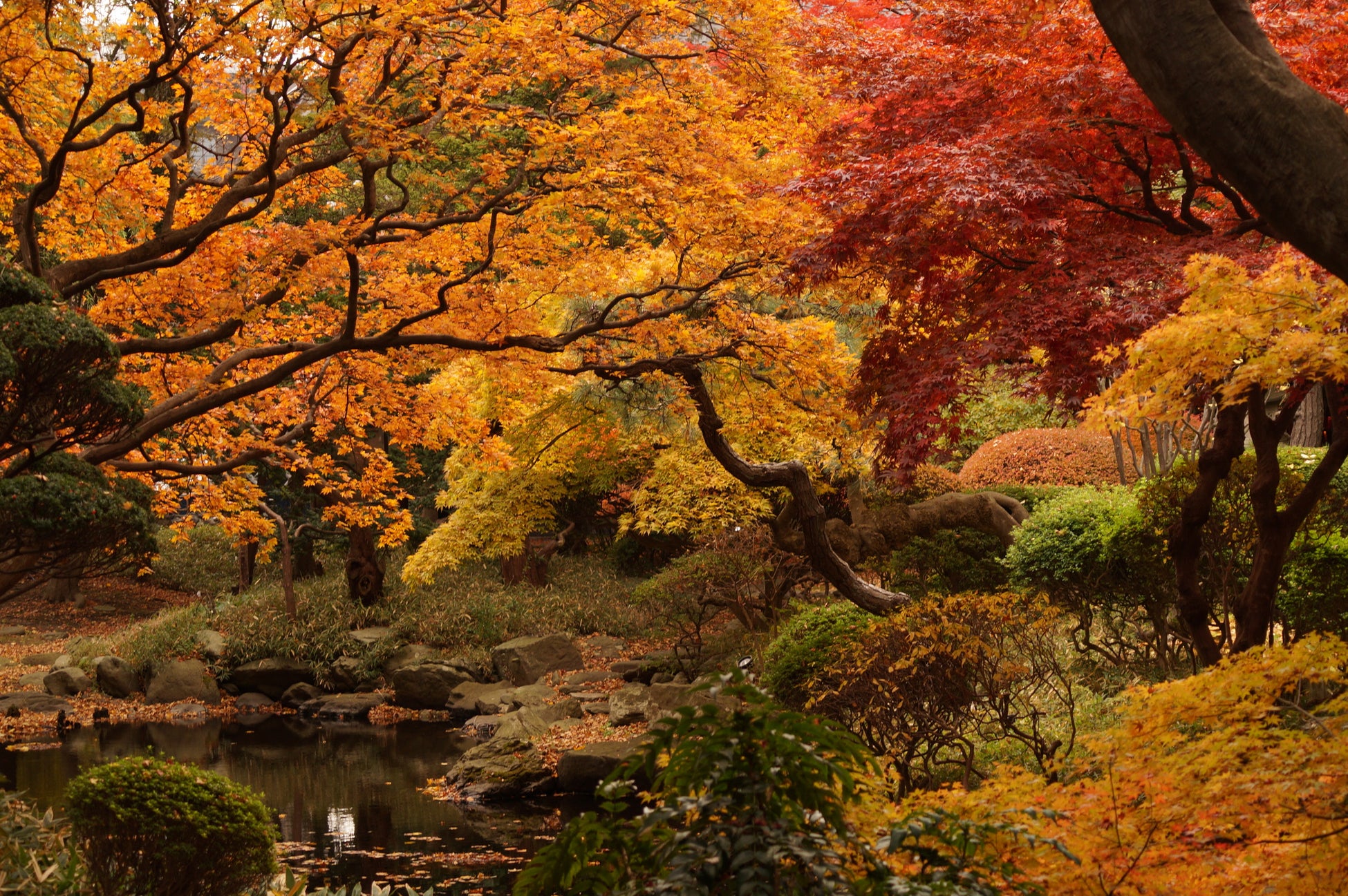 【札幌・定山渓温泉 章月グランドホテル】秋の紅葉＆和食会席＆お酒のコラボレーション　新プラン登場。